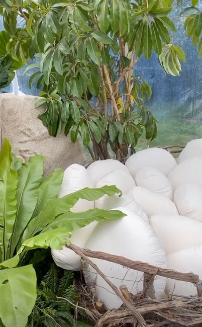 Saint West, 4th Birthday Party